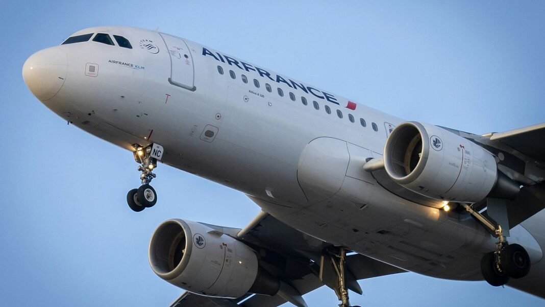 Runways temporarily closed at Paris airport as drones deployed to search for missing dog