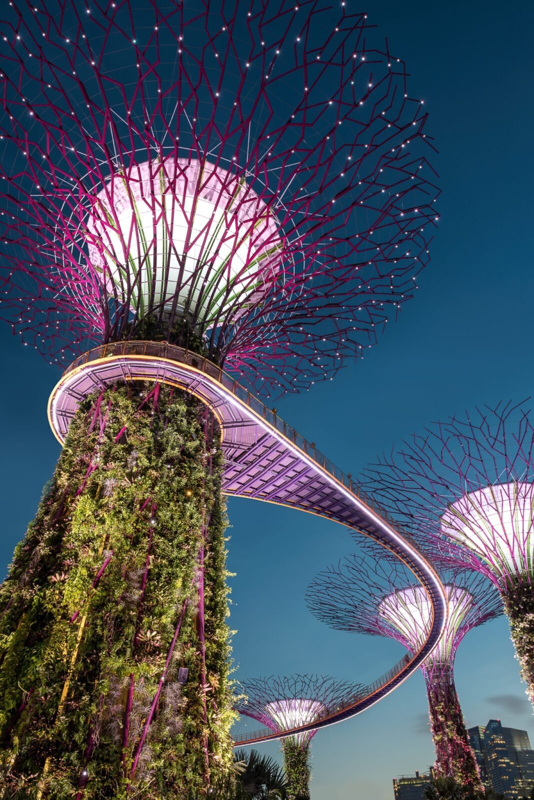 The 10 Best Things to do in Singapore