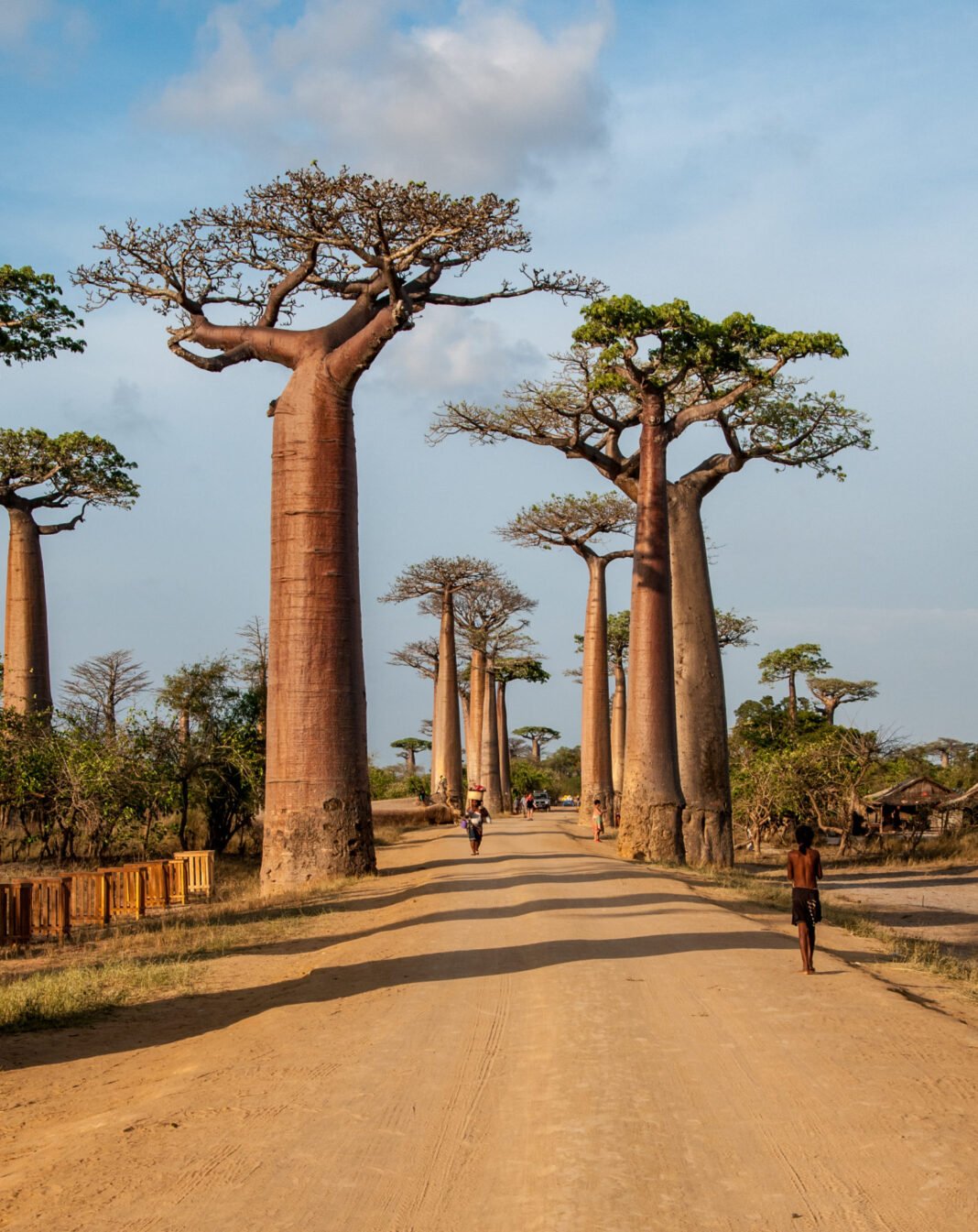 The Ultimate Africa Bucket List