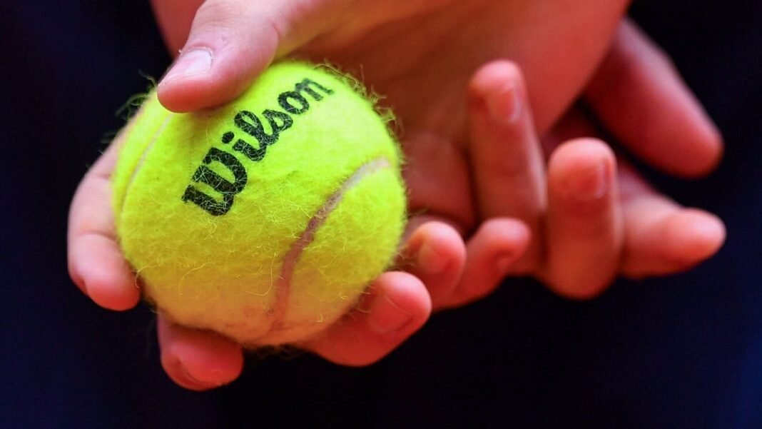 Monitoring program reports tennis cyberbullies to law