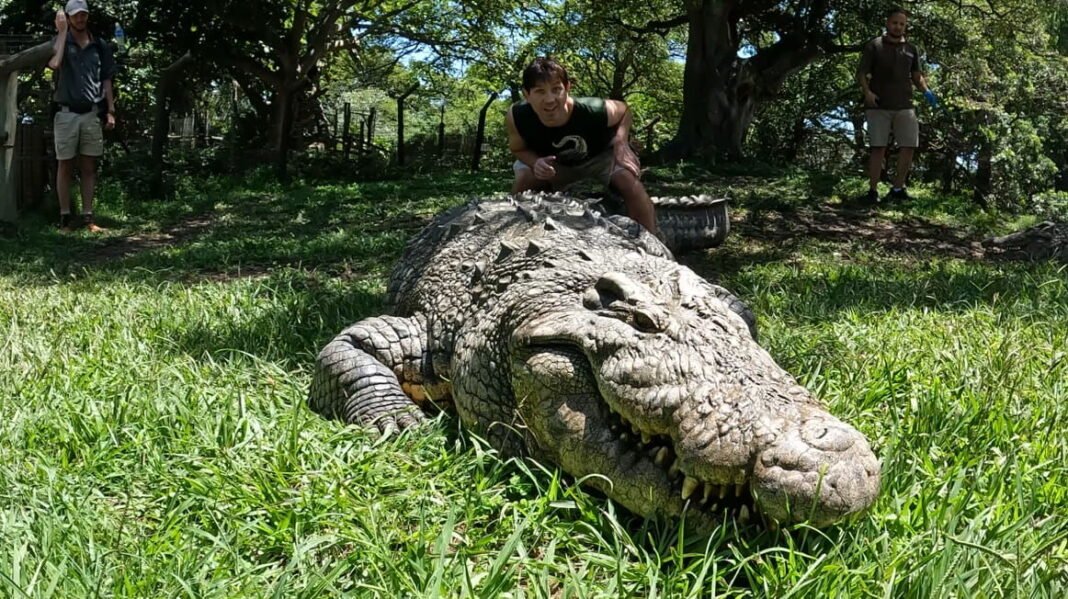 Henry the giant crocodile celebrates 124th birthday after siring 10,000 babies
