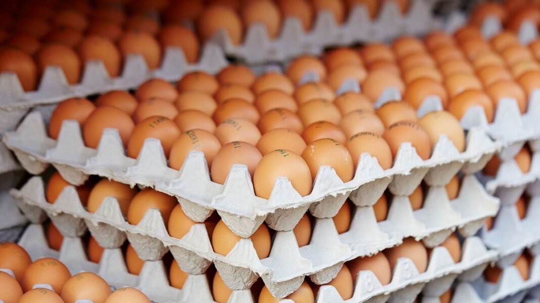 Why is Turkey sending thousands of tonnes of eggs to US buyers?