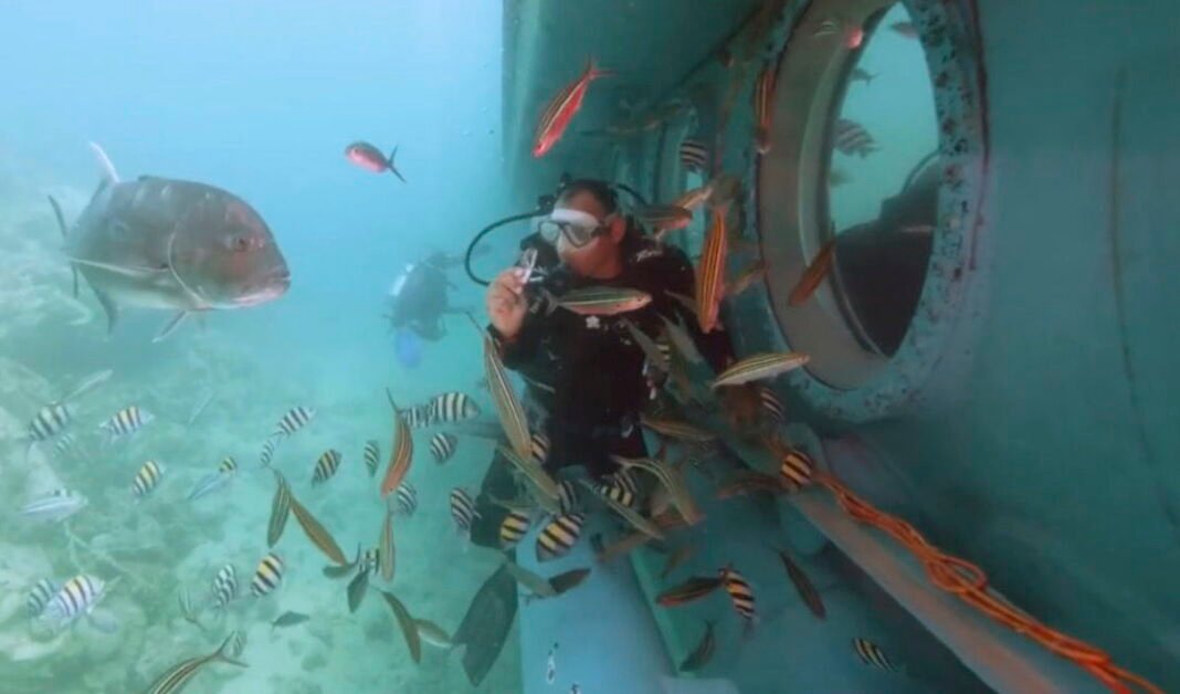Tourist sub sinks in Egyptian Red Sea resort