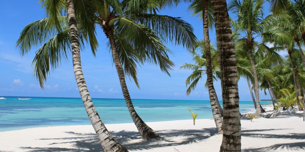 American Adds 5 New Flights to Mexico and the Caribbean