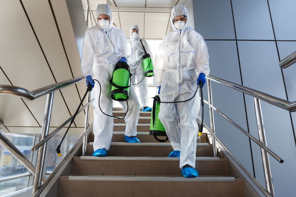Spain’s Nile virus battle begins after rains boost deadly mosquito threat