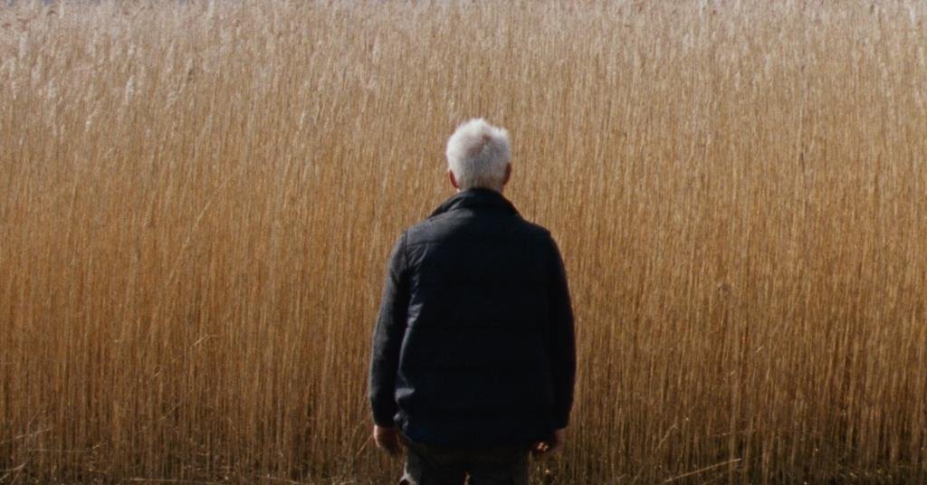 ‘Reedland’ review: A violent crime rocks a rural Dutch community