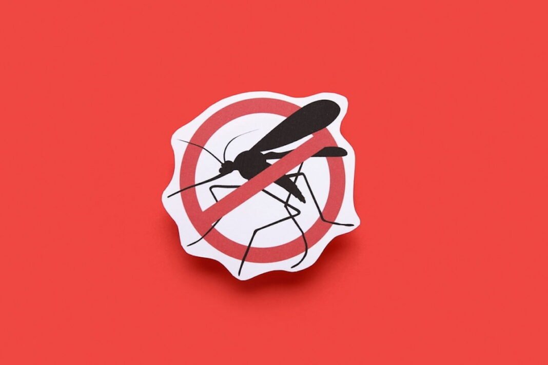 23 Smart Ways to Mosquito-Proof Your Life This Summer