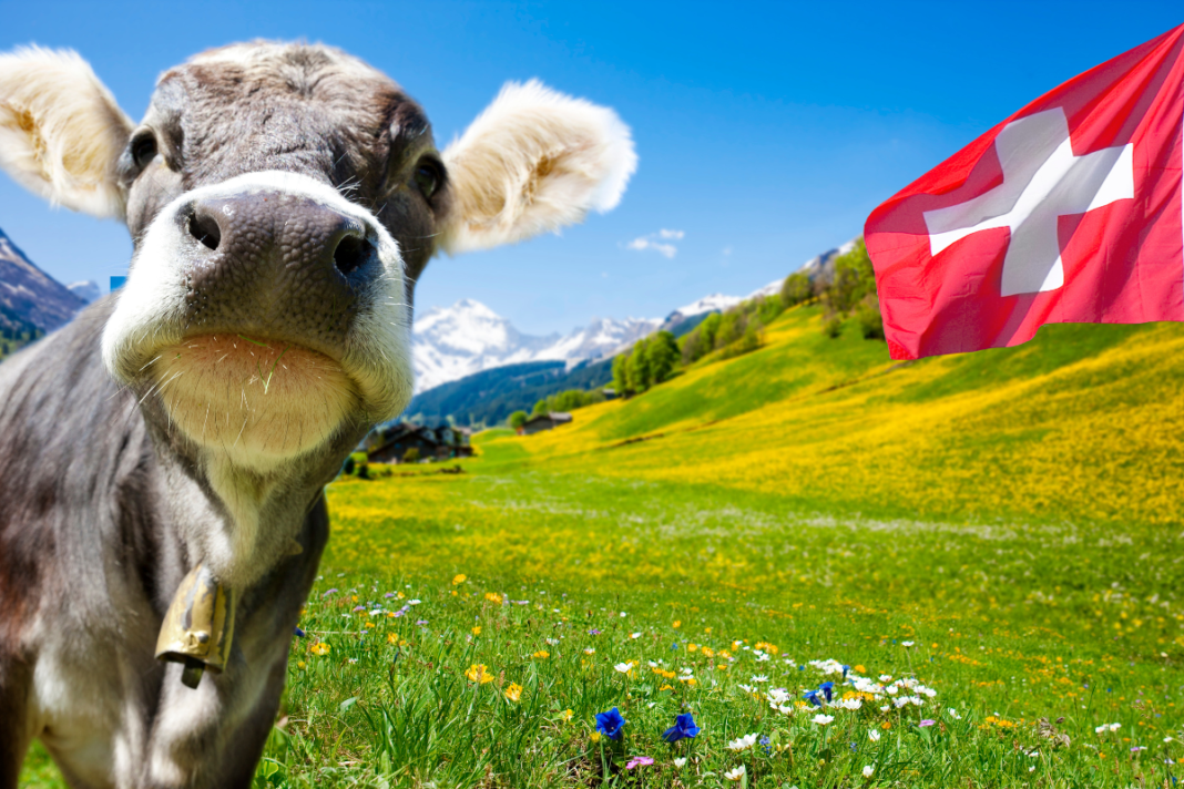 You can be denied citizenship in Switzerland for being annoying.