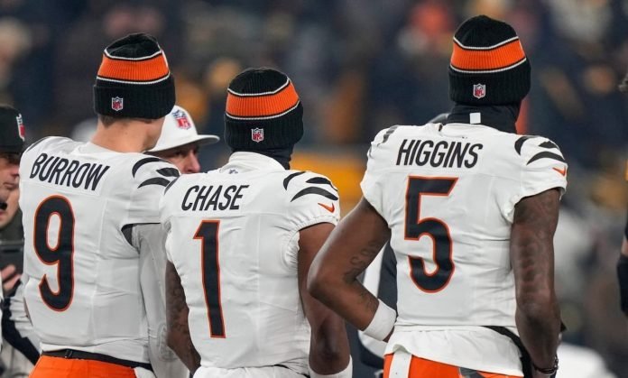 Bengals