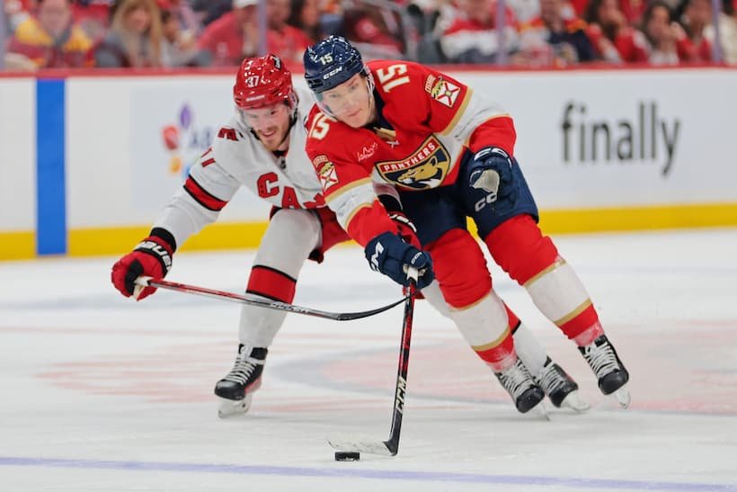Hurricanes Panthers Injury