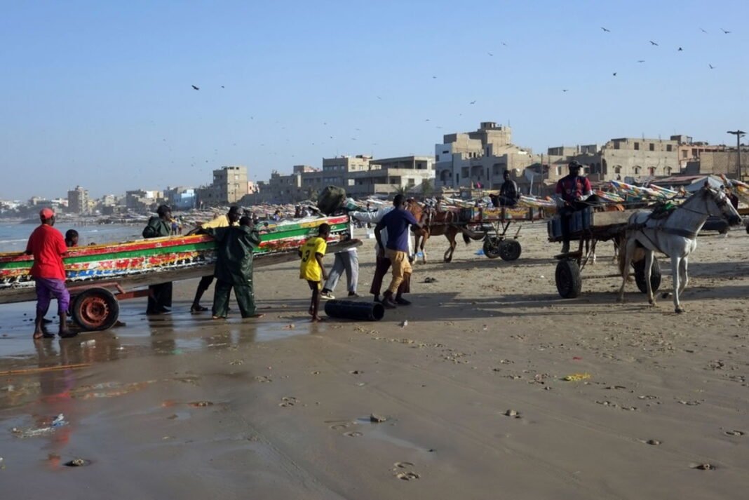 Risky boat migration to Spain reportedly fuelled by overfishing