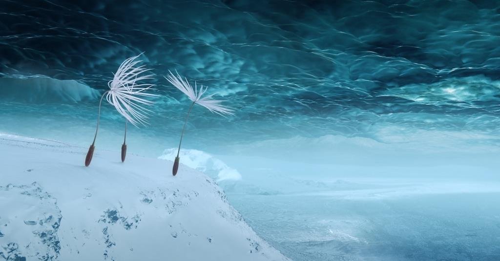 ‘Dandelion’s Odyssey’ review: Artistic animation takes a plant’s eye-view of the apocalypse