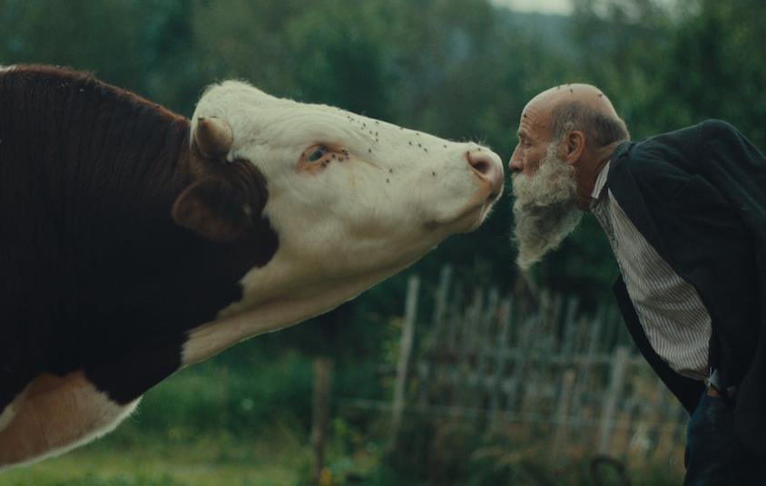 Karlovy Vary film festival unveils 2025 winners