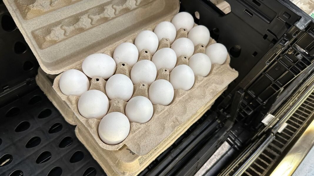 Trump administration sues California over egg prices, blames red tape
