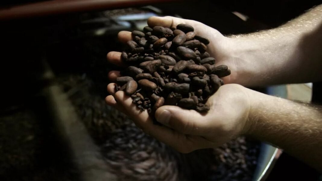 World Chocolate Day: The EU is celebrating with sky-high prices